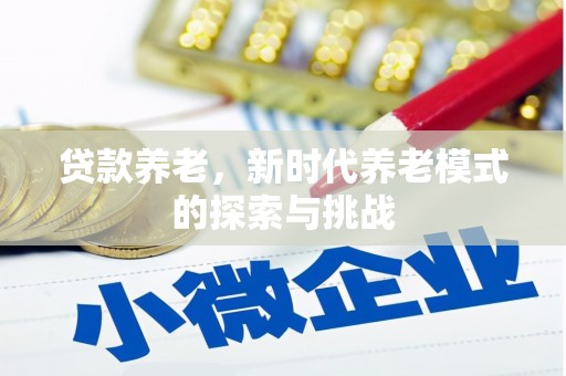 临渭贷款养老，新时代养老模式的探索与挑战