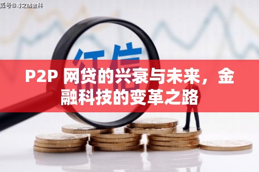 临渭P2P 网贷的兴衰与未来，金融科技的变革之路