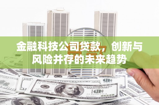 临渭金融科技公司贷款，创新与风险并存的未来趋势