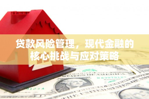 临渭贷款风险管理，现代金融的核心挑战与应对策略