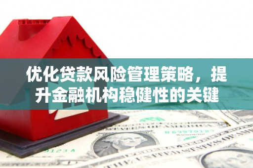 临渭优化贷款风险管理策略，提升金融机构稳健性的关键