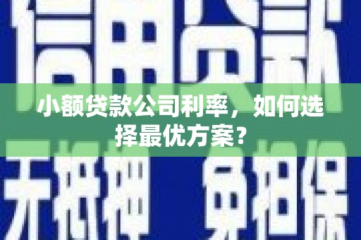 临渭小额贷款公司利率，如何选择最优方案？