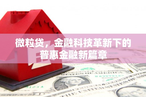 临渭微粒贷，金融科技革新下的普惠金融新篇章