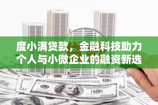 临渭度小满贷款，金融科技助力个人与小微企业的融资新选择