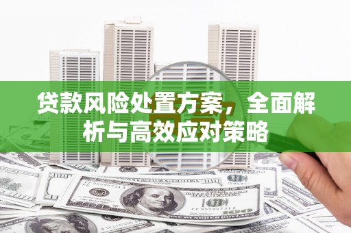 临渭贷款风险处置方案，全面解析与高效应对策略