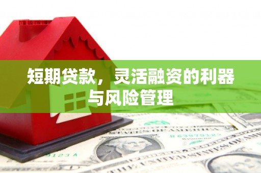 临渭短期贷款，灵活融资的利器与风险管理