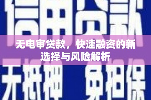 临渭无电审贷款，快速融资的新选择与风险解析