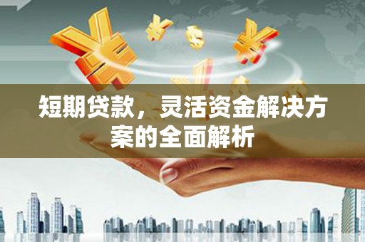 临渭短期贷款，灵活资金解决方案的全面解析