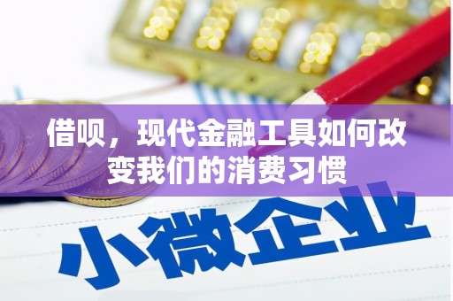 临渭借呗，现代金融工具如何改变我们的消费习惯