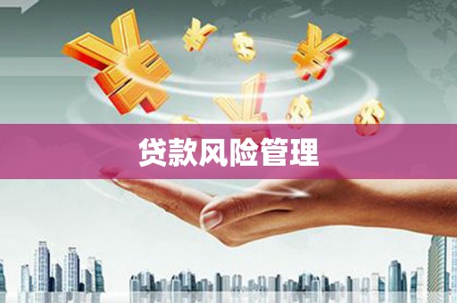 临渭贷款风险管理