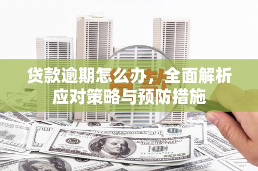 临渭贷款逾期怎么办，全面解析应对策略与预防措施