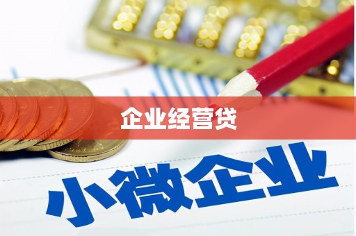 临渭企业经营贷