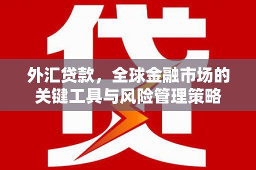 临渭外汇贷款，全球金融市场的关键工具与风险管理策略