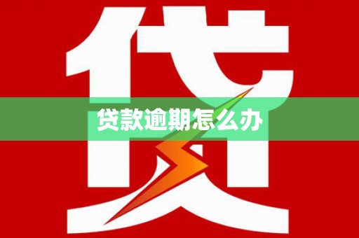 临渭贷款逾期怎么办