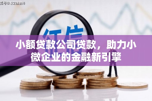 临渭小额贷款公司贷款，助力小微企业的金融新引擎