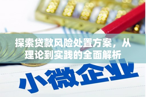临渭探索贷款风险处置方案，从理论到实践的全面解析