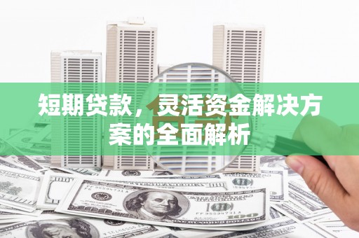 临渭短期贷款，灵活资金解决方案的全面解析