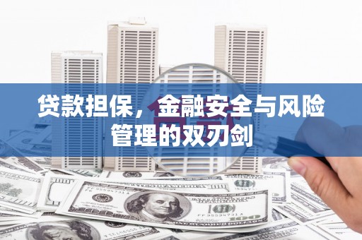 临渭贷款担保，金融安全与风险管理的双刃剑