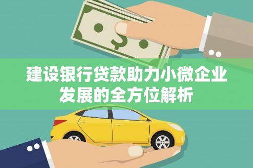 临渭建设银行贷款助力小微企业发展的全方位解析