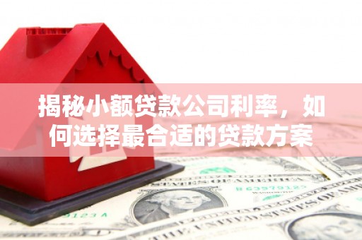 临渭揭秘小额贷款公司利率，如何选择最合适的贷款方案