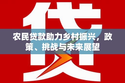 临渭农民贷款助力乡村振兴，政策、挑战与未来展望