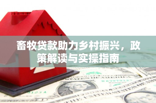 临渭畜牧贷款助力乡村振兴，政策解读与实操指南