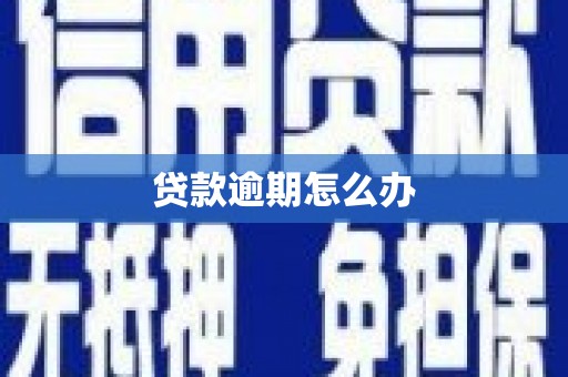 临渭贷款逾期怎么办