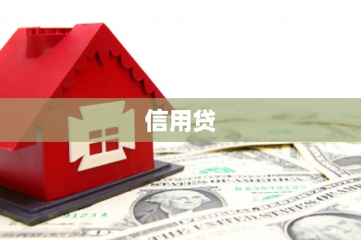 临渭信用贷