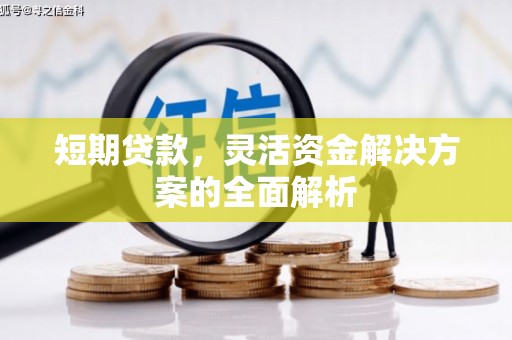 临渭短期贷款，灵活资金解决方案的全面解析