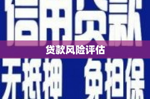 临渭贷款风险评估