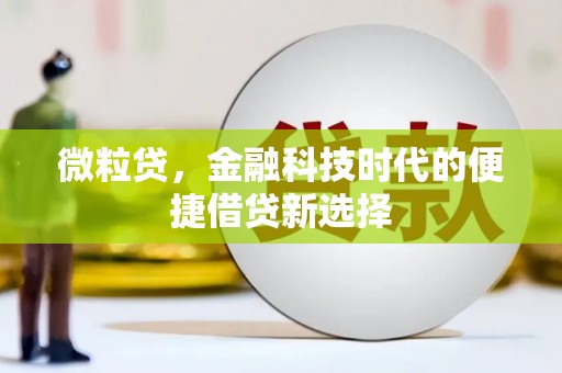 临渭微粒贷，金融科技时代的便捷借贷新选择