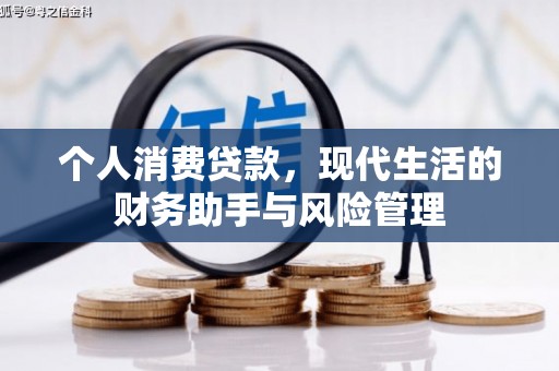 临渭个人消费贷款，现代生活的财务助手与风险管理
