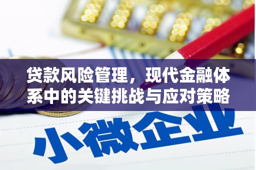临渭贷款风险管理，现代金融体系中的关键挑战与应对策略