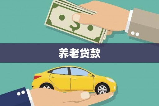 临渭养老贷款