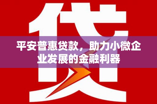 临渭平安普惠贷款，助力小微企业发展的金融利器