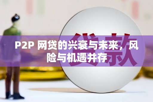 临渭P2P 网贷的兴衰与未来，风险与机遇并存