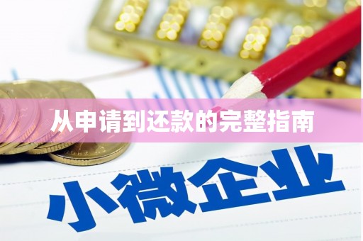 临渭从申请到还款的完整指南