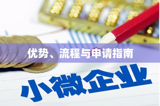临渭优势、流程与申请指南