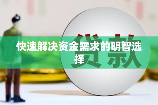 临渭快速解决资金需求的明智选择