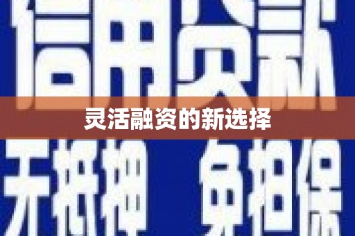 临渭灵活融资的新选择