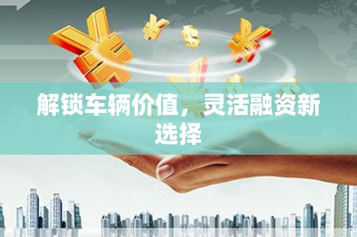 临渭解锁车辆价值，灵活融资新选择