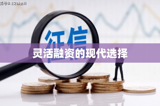 临渭灵活融资的现代选择