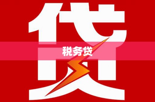 临渭税务贷