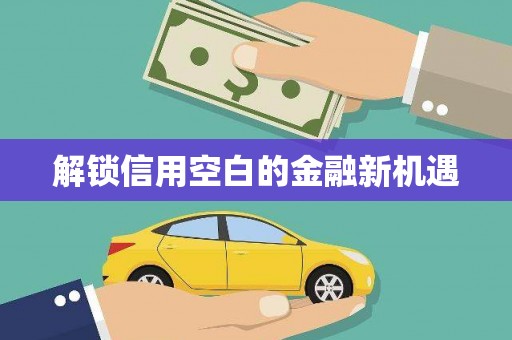 临渭解锁信用空白的金融新机遇
