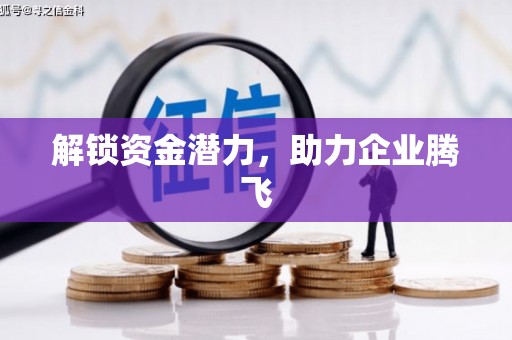 临渭解锁资金潜力，助力企业腾飞