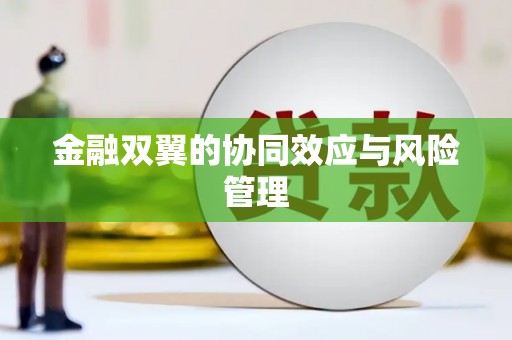 临渭金融双翼的协同效应与风险管理