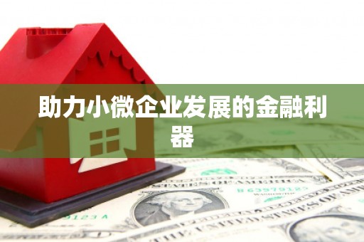 临渭助力小微企业发展的金融利器