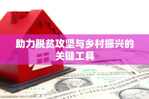 临渭助力脱贫攻坚与乡村振兴的关键工具
