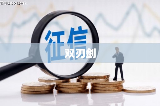 临渭双刃剑